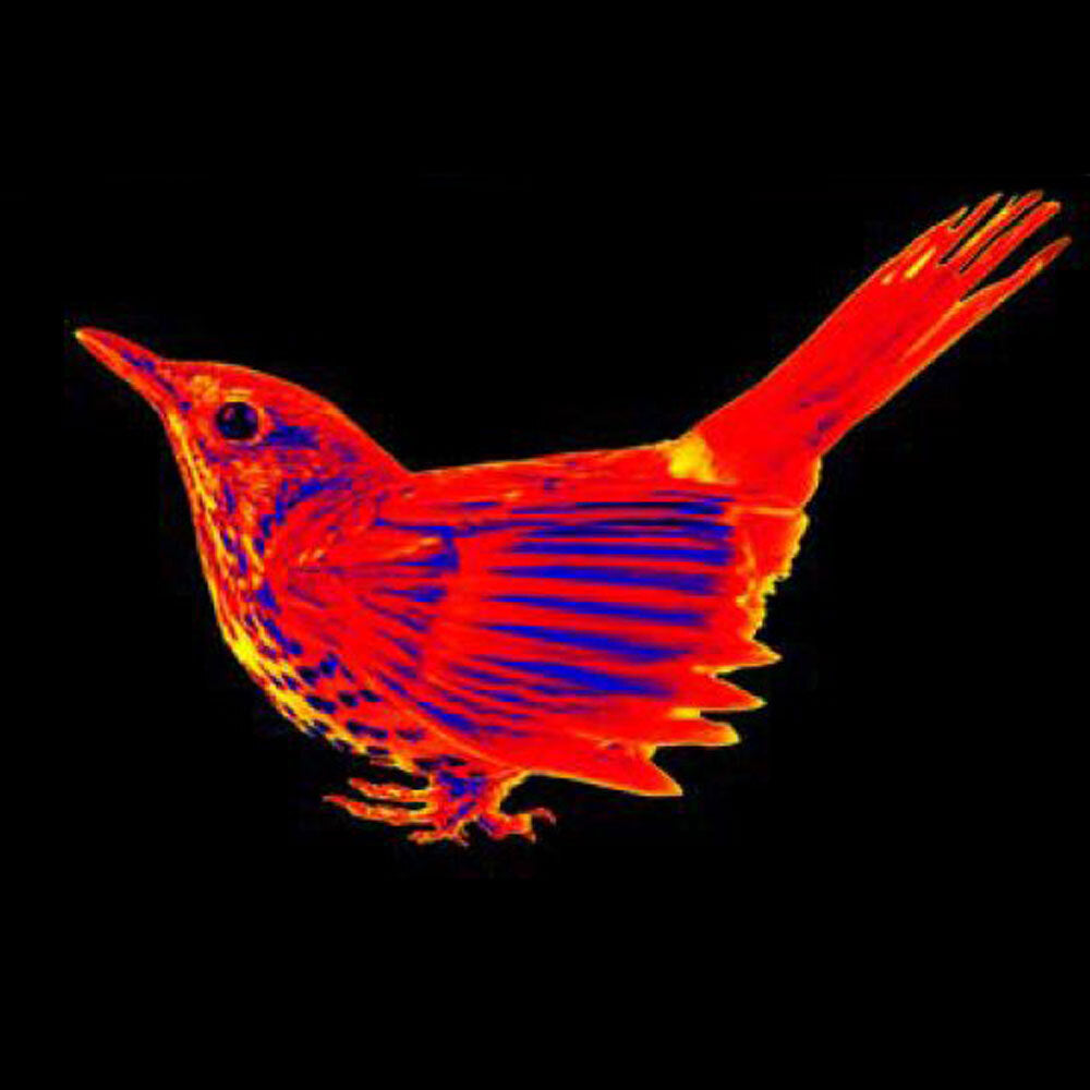 Konus Flame 7955 zoom 1.4x-11.2x visione notturna professionale outdoor